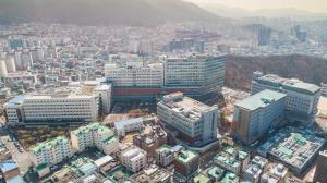 2021 전경사진 관련사진